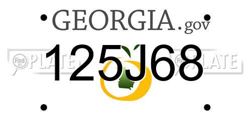 125J68 Georgia License Plate