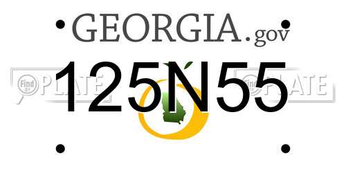 125N55 Georgia License Plate