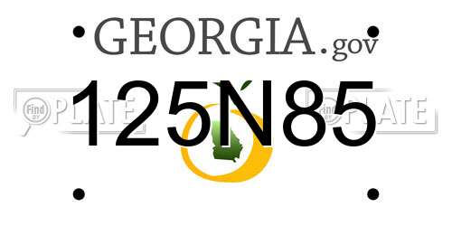 125N85 Georgia License Plate