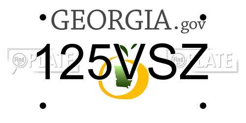 125VSZ Georgia License Plate