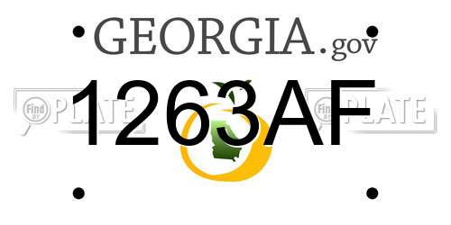 1263AF Georgia License Plate