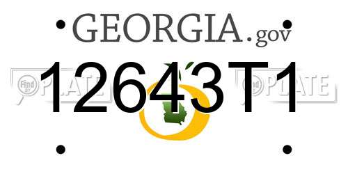 12643T1 Georgia License Plate
