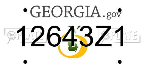 12643Z1 Georgia License Plate