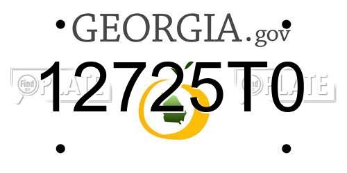 12725T0 Georgia License Plate