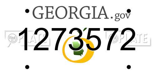 1273572 Georgia License Plate
