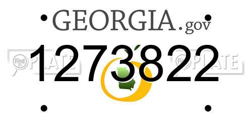 1273822 Georgia License Plate