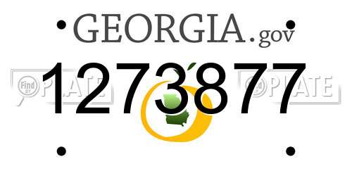 1273877 Georgia License Plate