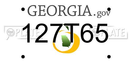127T65 Georgia License Plate