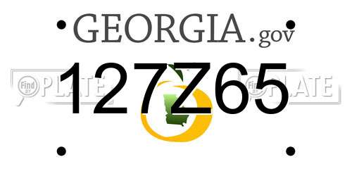 127Z65 Georgia License Plate