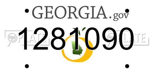 1281090 Georgia License Plate