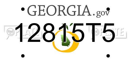 12815T5 Georgia License Plate