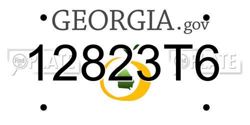 12823T6 Georgia License Plate