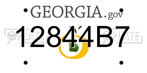 12844B7 Georgia License Plate