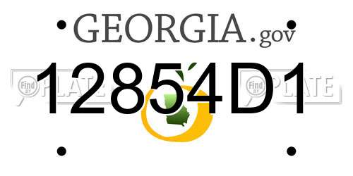12854D1 Georgia License Plate