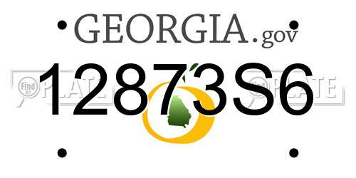 12873S6 Georgia License Plate