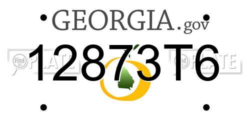 12873T6 Georgia License Plate