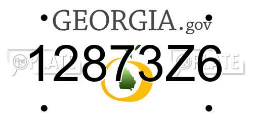 12873Z6 Georgia License Plate