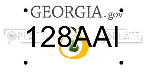 128AAI Georgia License Plate