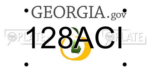 128ACI Georgia License Plate