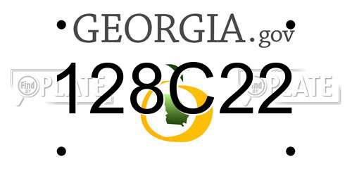 128C22 Georgia License Plate