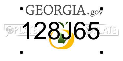 128J65 Georgia License Plate