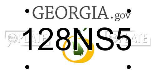 128NS5 Georgia License Plate