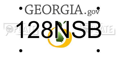 128NSB Georgia License Plate