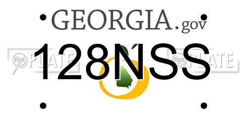 128NSS Georgia License Plate