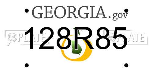 128R85 Georgia License Plate