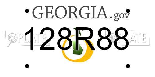 128R88 Georgia License Plate