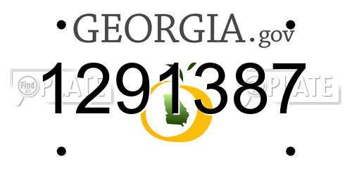 1291387 Georgia License Plate
