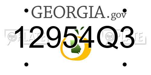 12954Q3 Georgia License Plate