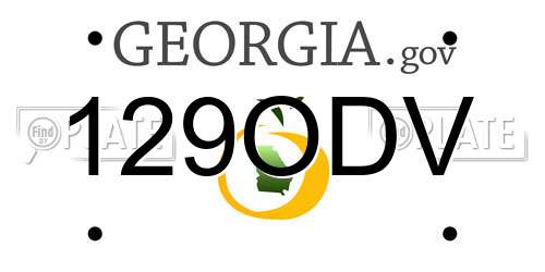 129ODV Georgia License Plate