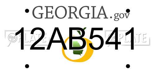 12AB541 Georgia License Plate