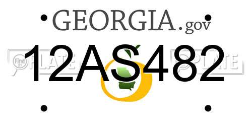 12AS482 Georgia License Plate