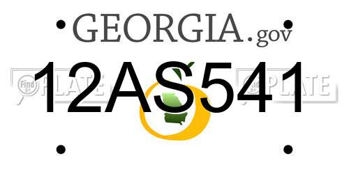 12AS541 Georgia License Plate