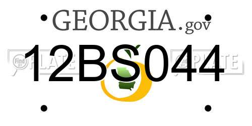 12BS044 Georgia License Plate