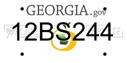 12BS244 Georgia License Plate