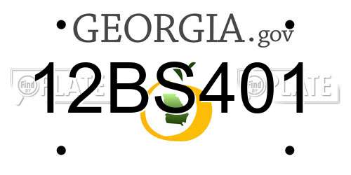 12BS401 Georgia License Plate