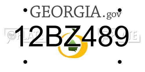 12BZ489 Georgia License Plate