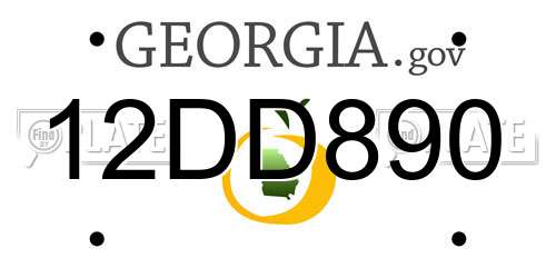 12DD890 Georgia License Plate