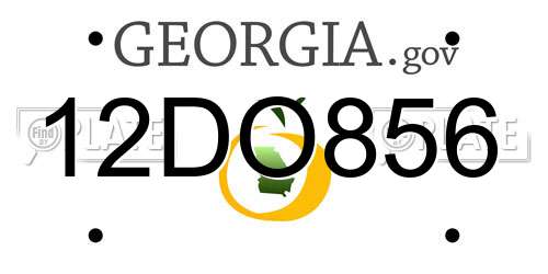 12DO856 Georgia License Plate