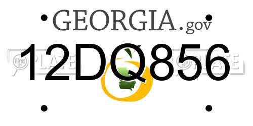 12DQ856 Georgia License Plate