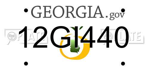 12GI440 Georgia License Plate