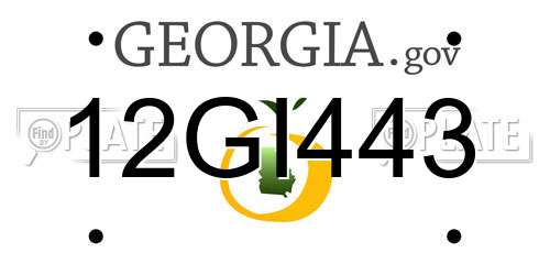 12GI443 Georgia License Plate
