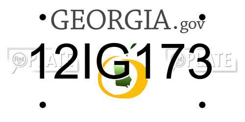 12IG173 Georgia License Plate