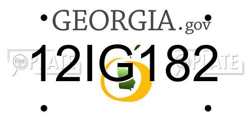 12IG182 Georgia License Plate