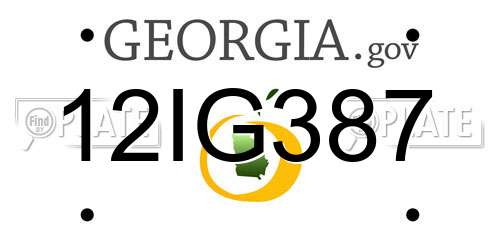 12IG387 Georgia License Plate