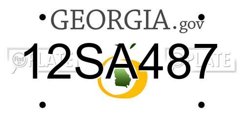 12SA487 Georgia License Plate