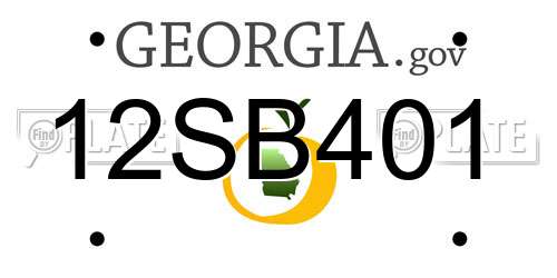 12SB401 Georgia License Plate